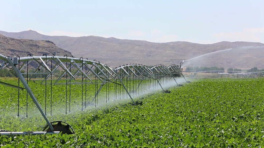 Irrigation and Water Management